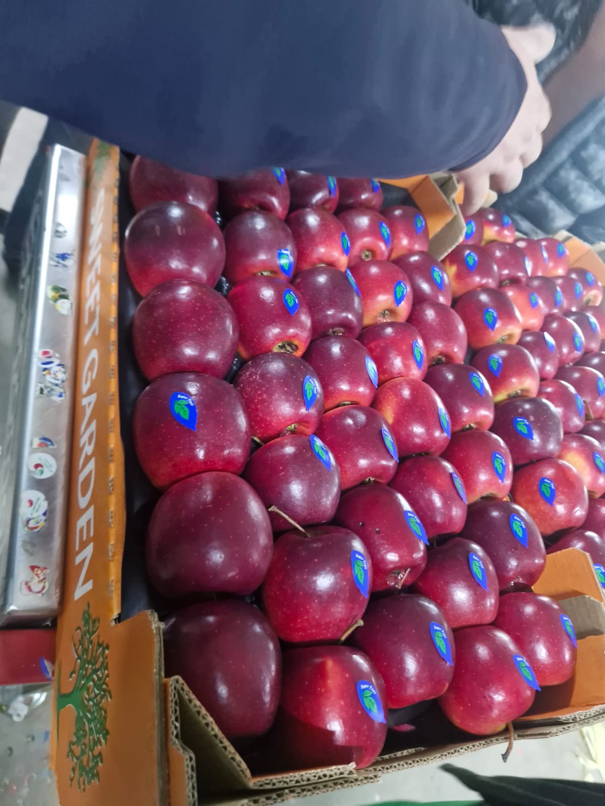 Kırmızı Elma 3